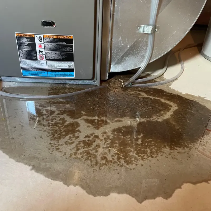 Appliance Leak Cleanup in Forest Grove, OR